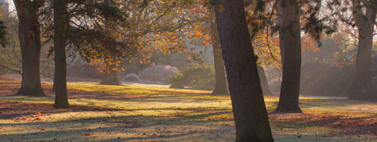 安卓ddos攻击工具